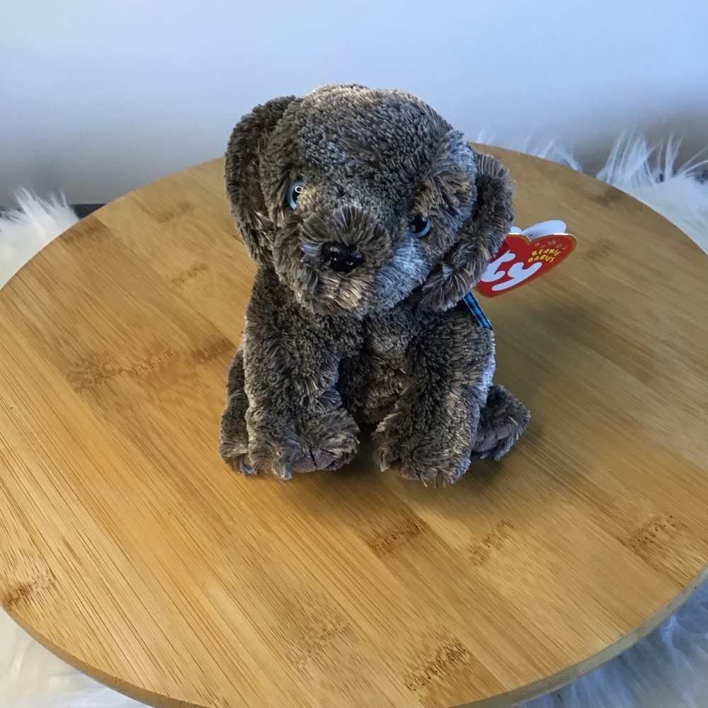 Ty (2] Frisbee Beanie Baby Plush Dog